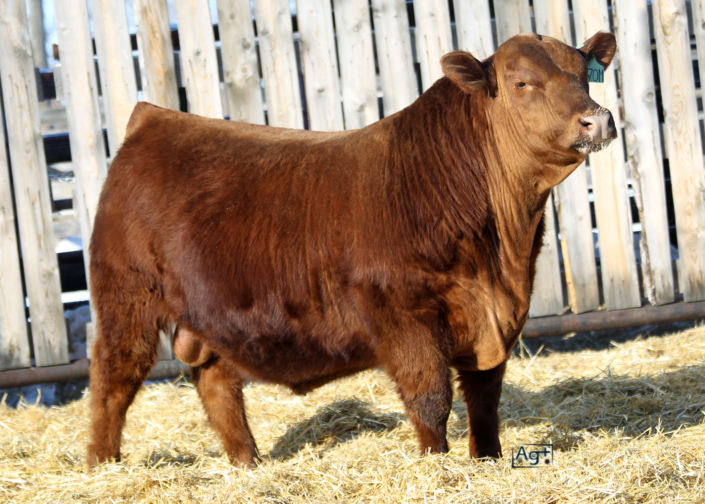 AG_L2042_LEX 370M-FRONT