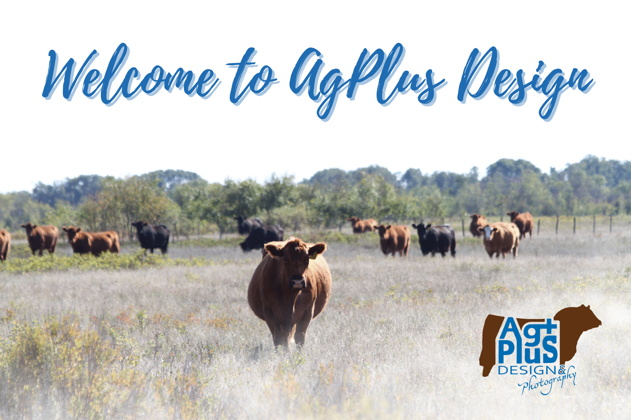 AgPlus Welcome Page Header Sept 2025