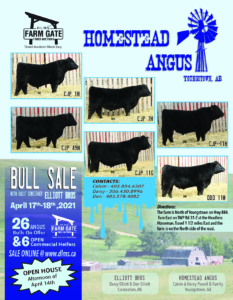 Homestead Bull Sale Ad